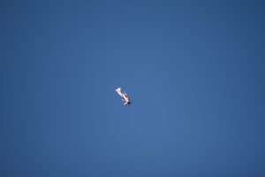 k-IMG_0170