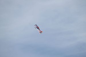 k-IMG_0244